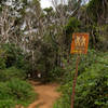 Kauai trail hike Hawaii