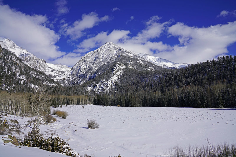 Willow Park, about a third of the way from trailhead to Willow Lake, is a one hour walk. This is early winter. The trail goes right by Willow Park so you can't possibly miss it. Challenger Point is seen in the middle; Willow Lake is in the bowl on left.