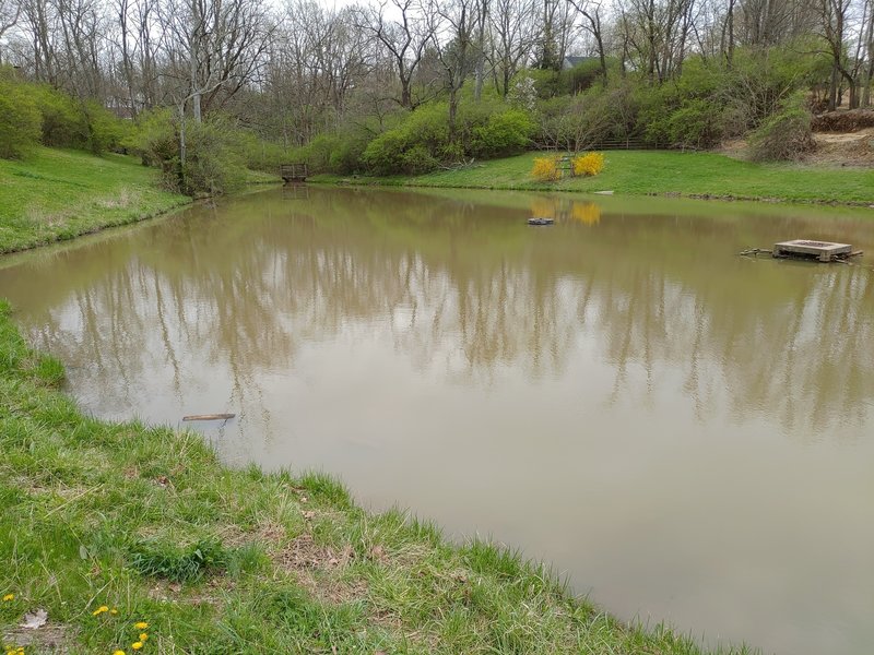 Small Pond with trail around the perimeter.