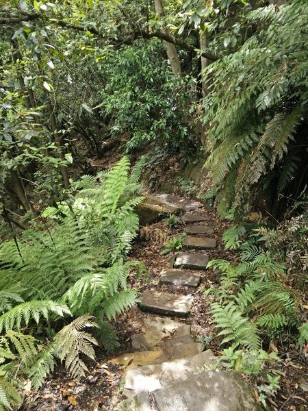 Stepping Stones on the National Pass Track