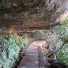 Undercliff Track