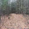 Wide, sometimes rocky, doubletrack main trail.