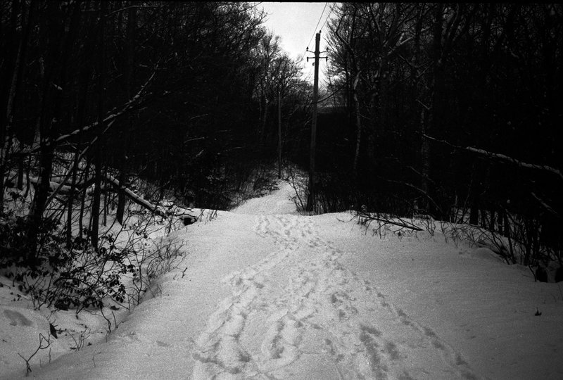 overlook trail