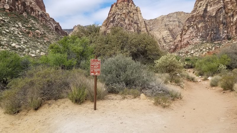 One of several trail junction signs along Pine Creek Trail.