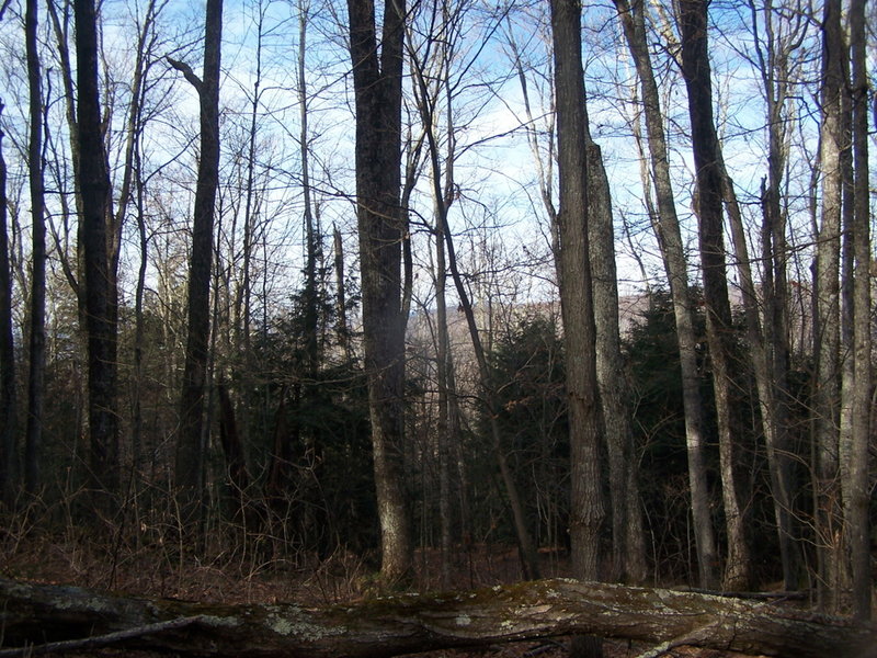 Looking Down Elm Ridge