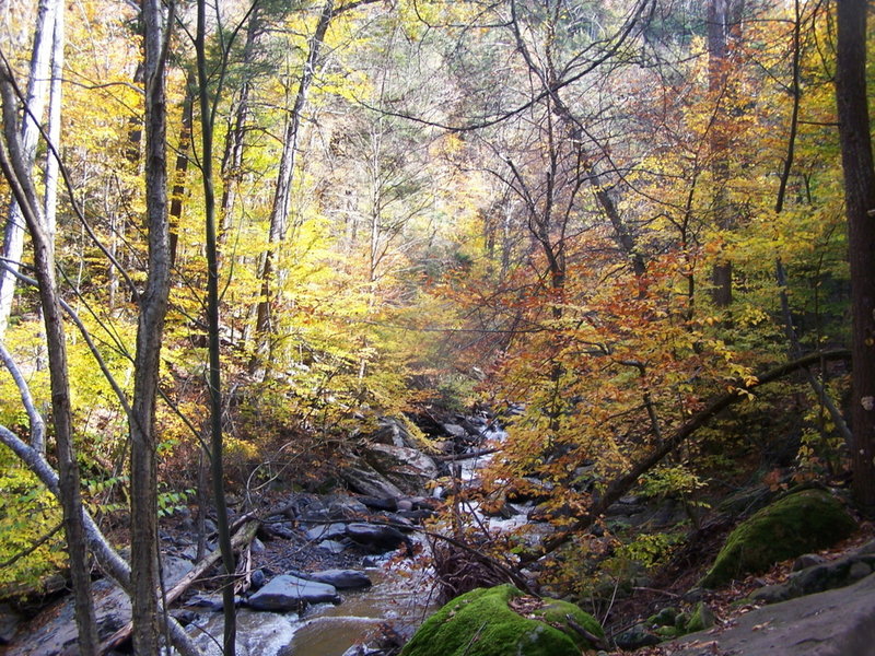 Kaaterskill Creek