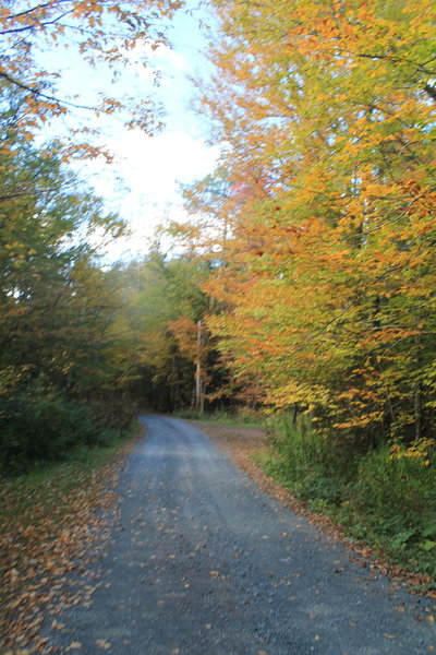 Big Hollow Road Starting Out