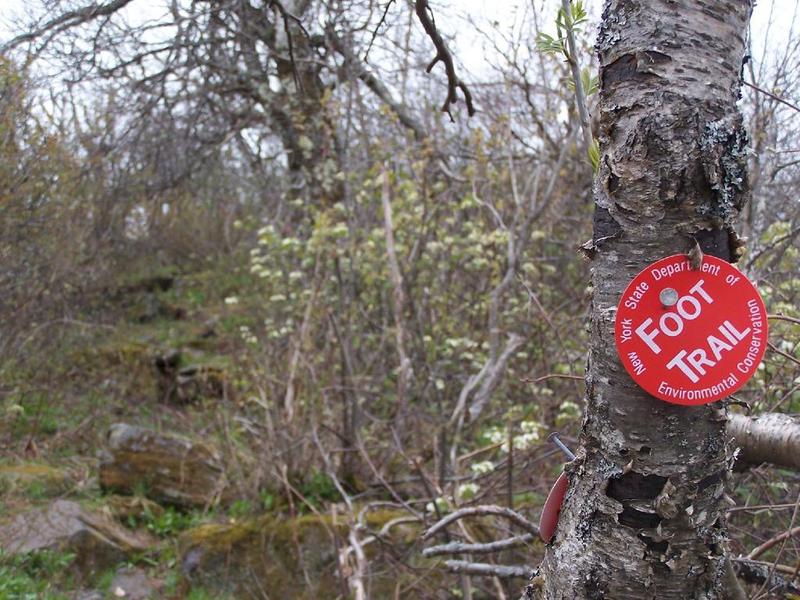 Red Trail Marker