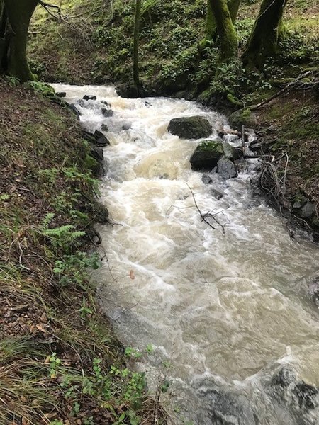 Blackstone Creek running after a winter rain