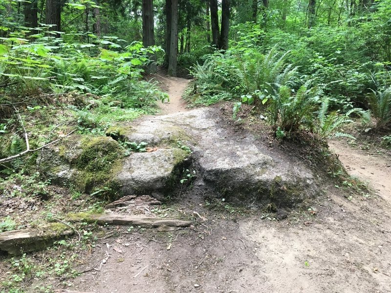 Boulder feature on Bear Way.