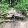 Boulder feature on Bear Way.