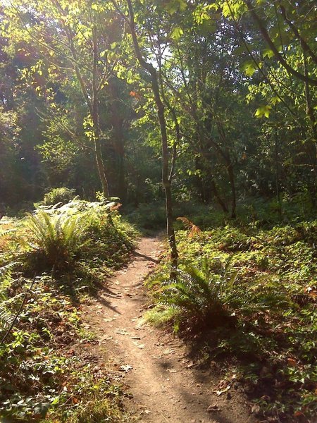 Northwest Passage Trail