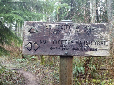 Million Dollar View Trail