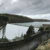 Panoramic view overlooking the spillway