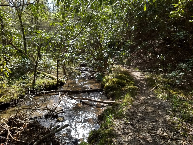 A lot of the Old Settlers Trail is located along—and often across—streams varying in size from small brooks, like this, and large, hazardous rivers.