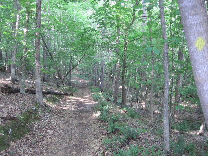 Mineral Springs Greenway