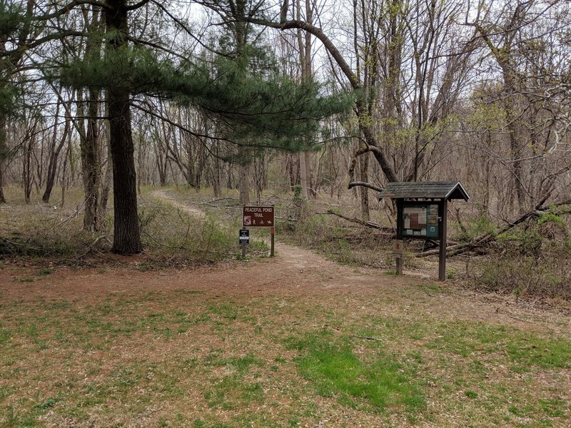 Peaceful Pond Trailhead