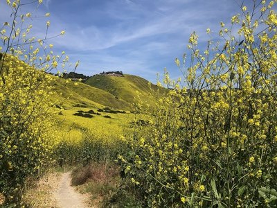At intersection of Zote's & Jack's Hat trails