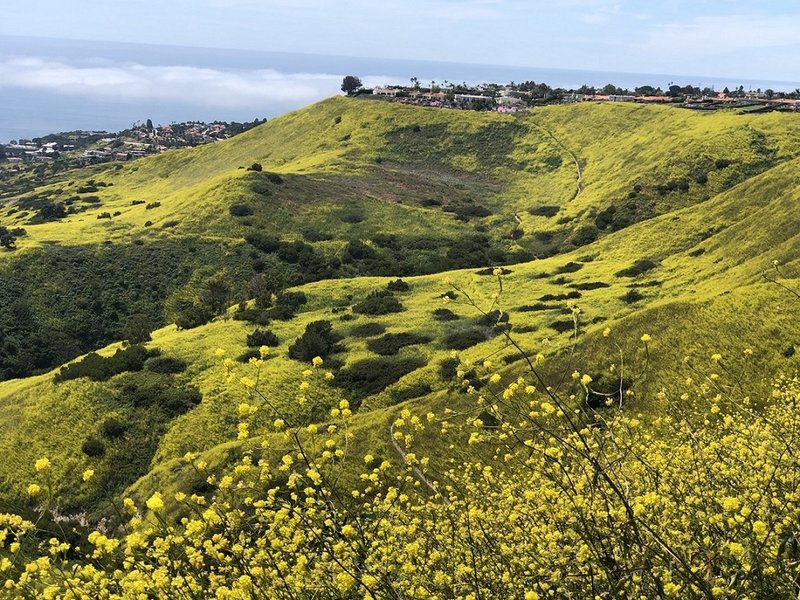 view from Del Cerro Park