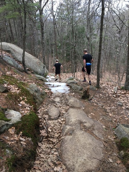 Descending the trails near North Mountain.