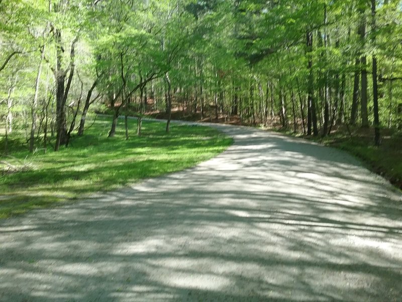 Intersection of the trail with Reedy Creek Lake