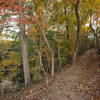 Twelve Mile Creek Trail