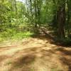 Looking down the trail