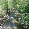 Bridge view over Southwest Prong Beaver Dam Creek