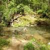 Close view of Southwest Prong Beaver Dam Creek