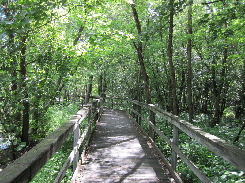 Hickory Greenway boardwalk