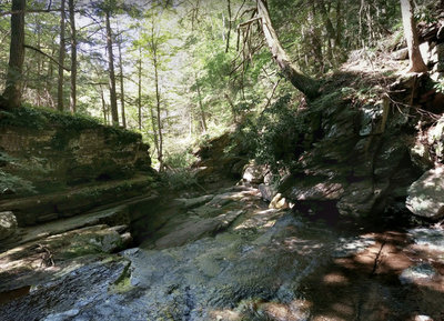 A great, easy access trail for the whole family.