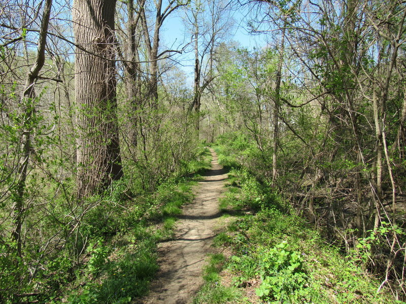 View down Mill Race Trail.