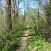 View down Mill Race Trail.