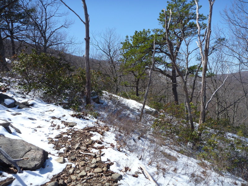 snowy trail