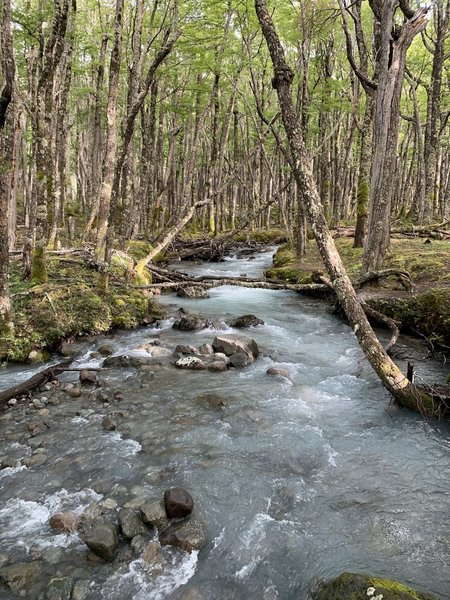 LOUD glacier-fed brook. A great soundtrack to the trail.