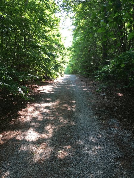 Ellis Park Trail