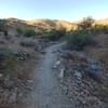 The hike gradually gets steeper as you head up toward Ridgeline. I saw a few mountain bikers and hikers but the trail is far less crowded than the Mormon Trail.