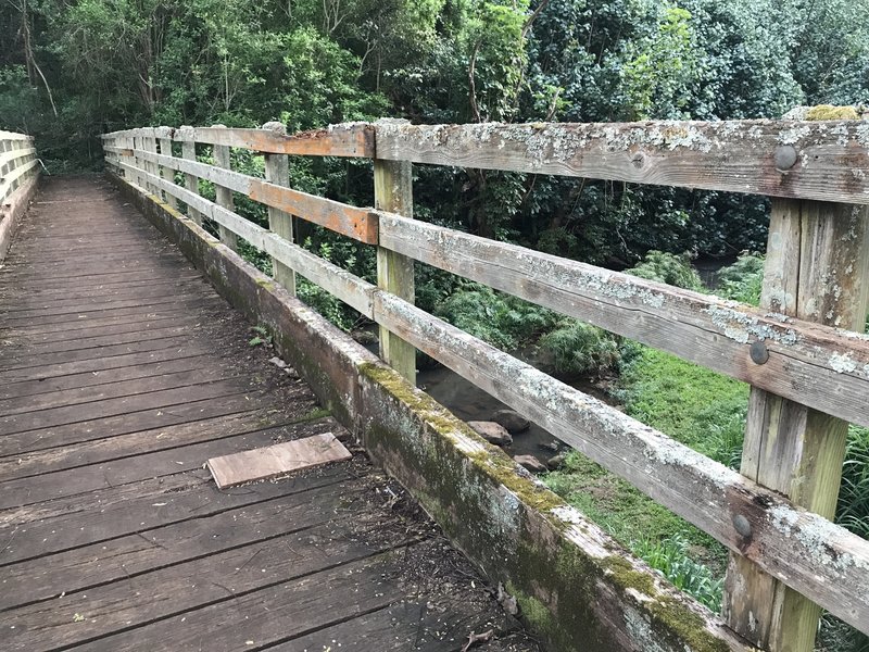 'Opaeka'a Stream foot bridge