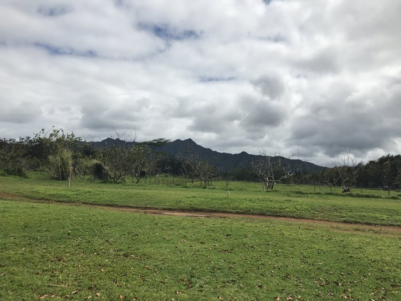 Mountain views in the background