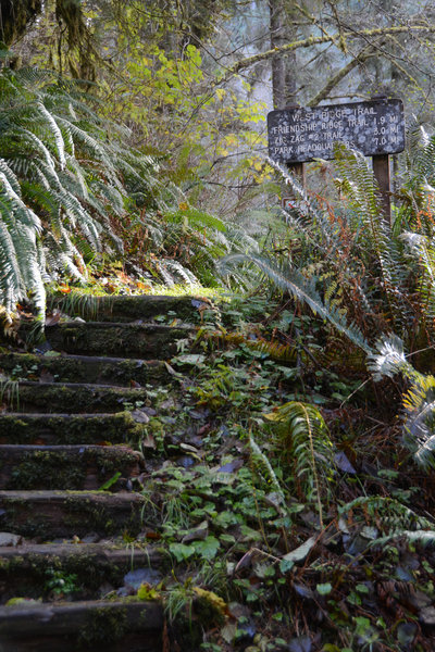 Stairs tempt you up the west ridge trail