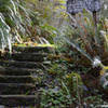 Stairs tempt you up the west ridge trail