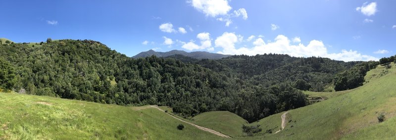 View across the valley toward Mt. Tam from Hidden Meadow Trail