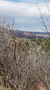 Peeking over at Garden of the Gods from Palmer Trail