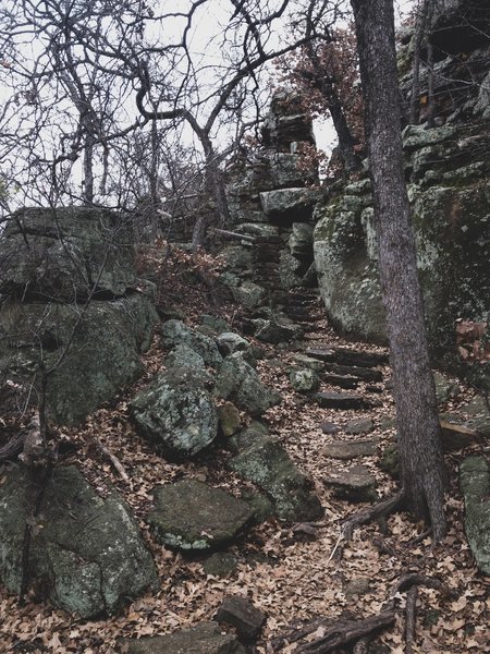 Steps to the trail