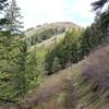 View toward up Lick Creek canyon. Grouse Mountain to the left.