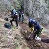 Blues Crew work party repairing trail tread