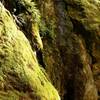 Close up of some boulder wall. Water seeping down the middle.