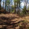 Late afternoon sun sets in as the Cooper Road Trail passes Hatcher Mountain Trail (left) and Beard Cane Trail (right)