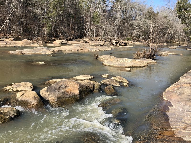 Rocky Creek at Rocky Creek Trail