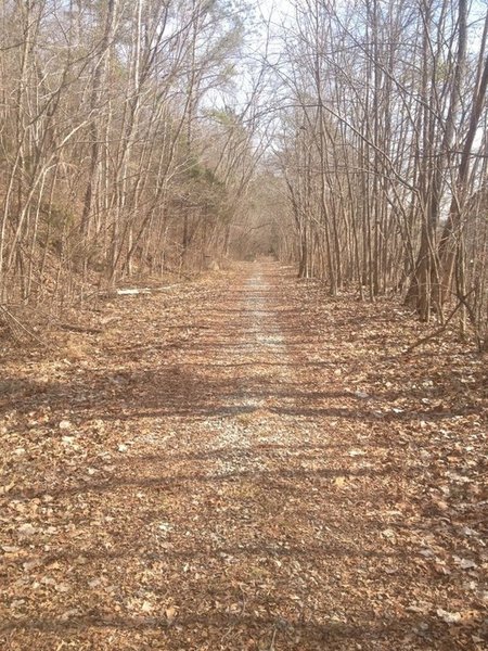 Rocky Creek Trail